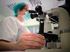 Laboratorio