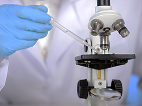Laboratorio